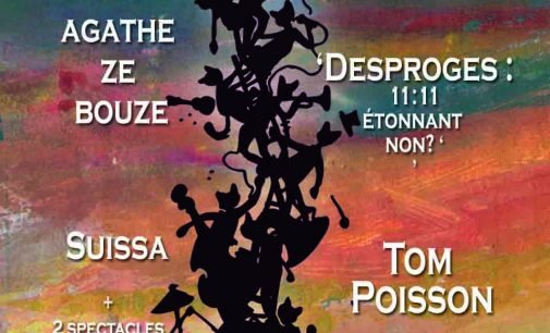 LES NUITS DU CHAT #9 Du 25 novembre au 3 décembre 2016